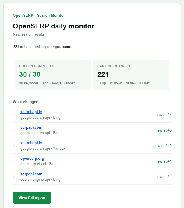 Daily monitor email listing checks completed, ranking changes, and the specific results that entered the top ten